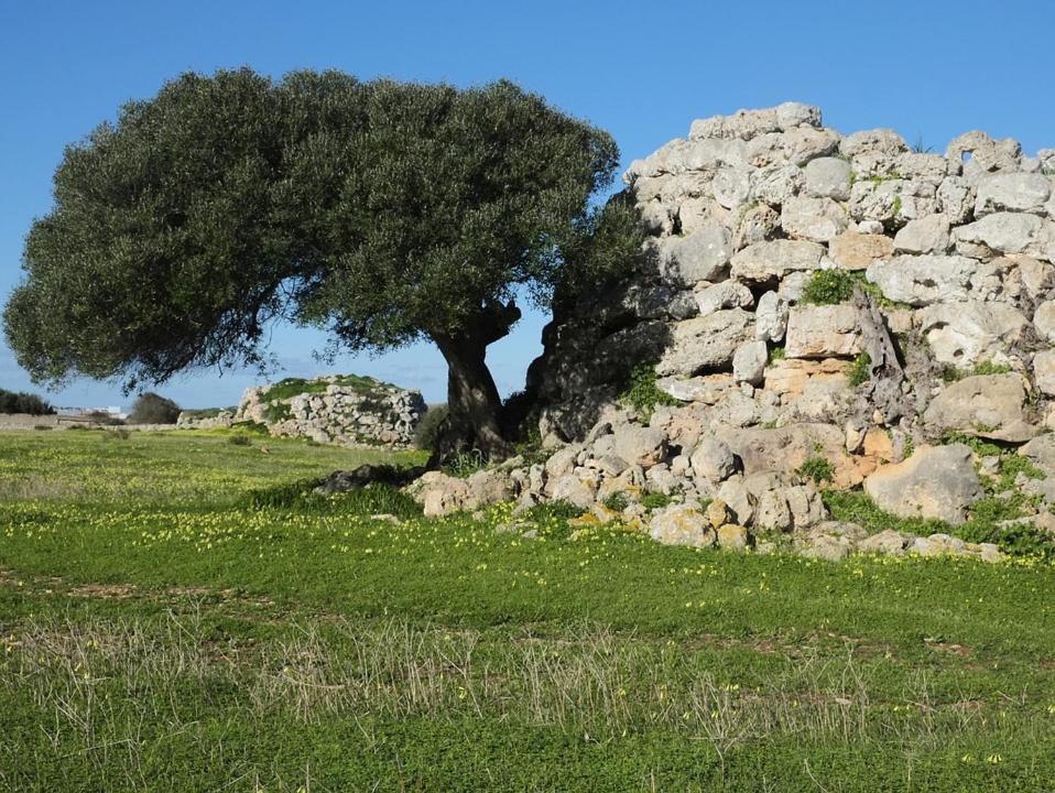 Hotel Boutique Ses 5 Claus Ciutadella  Bagian luar foto